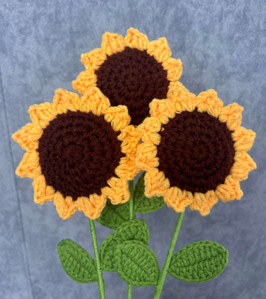 Tournesols