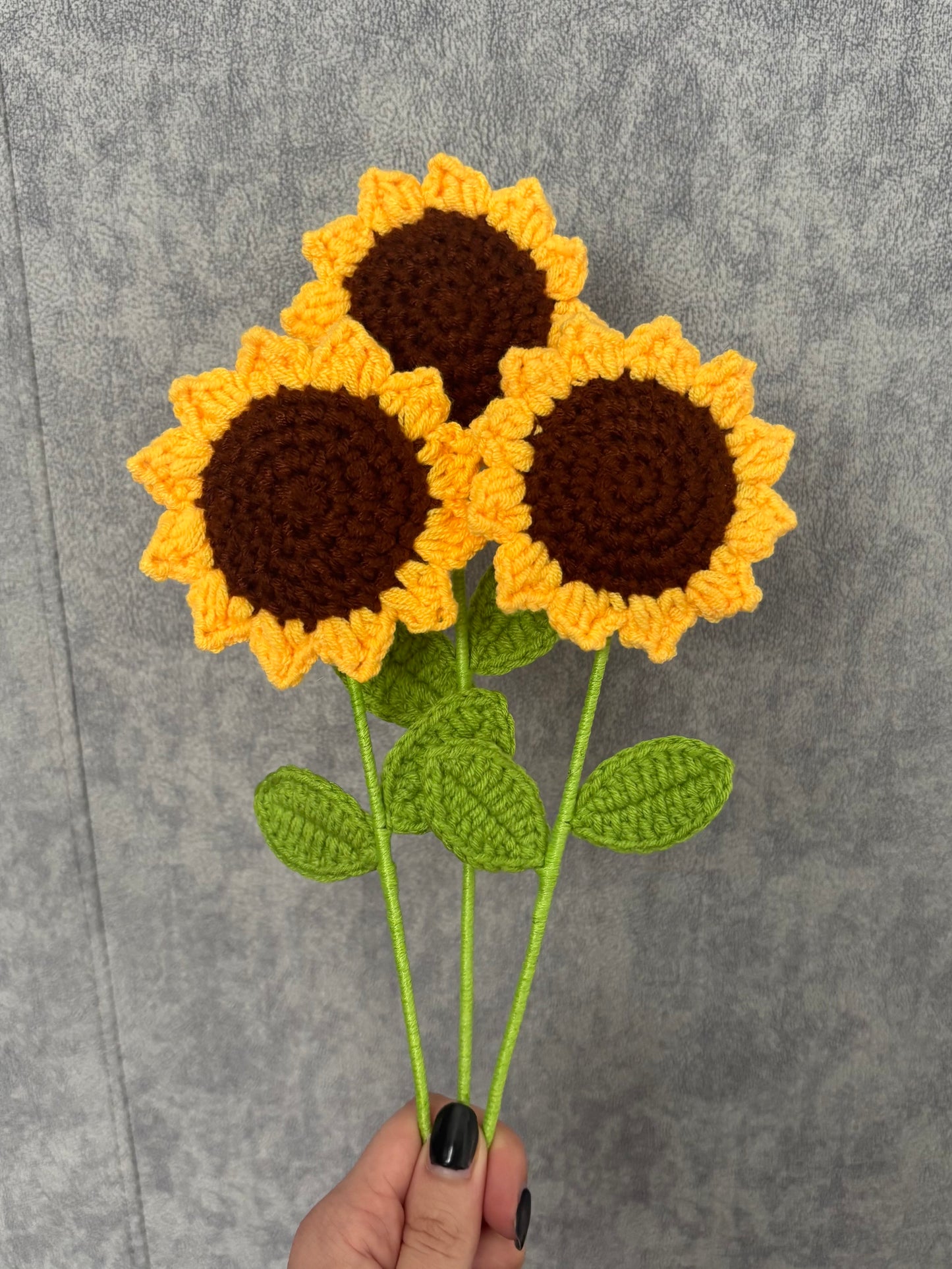 Tournesols