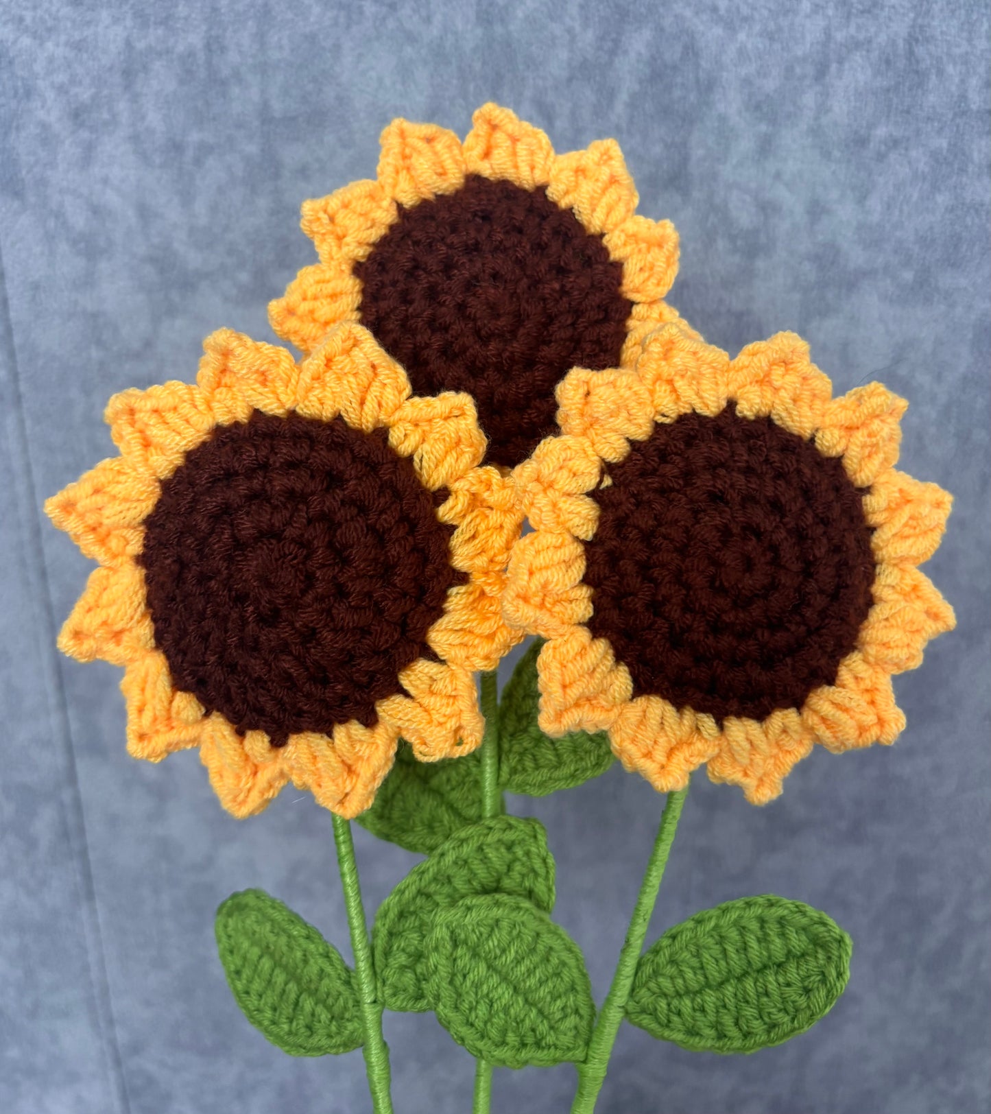 Tournesols